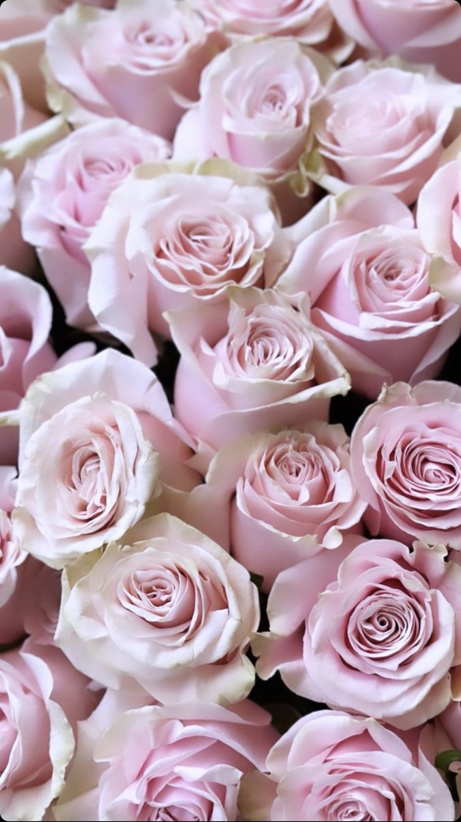 Heureux Anniversaire Johanne 🎂🎁
<a href="/Johannemiami/">Johanne Clerie</a> 🌹😍
💙