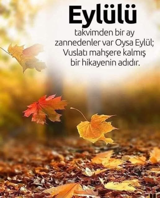 alp (@alp_all) on Twitter photo 