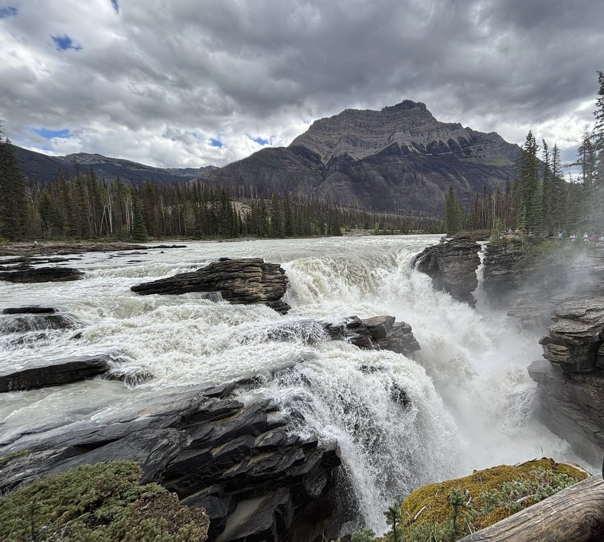 bobthomas tweet media