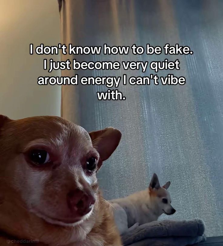 🍂 (@lovandfear) on Twitter photo 