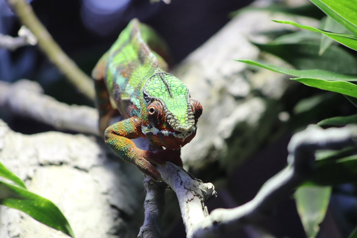 de PEYROLLE tweet media