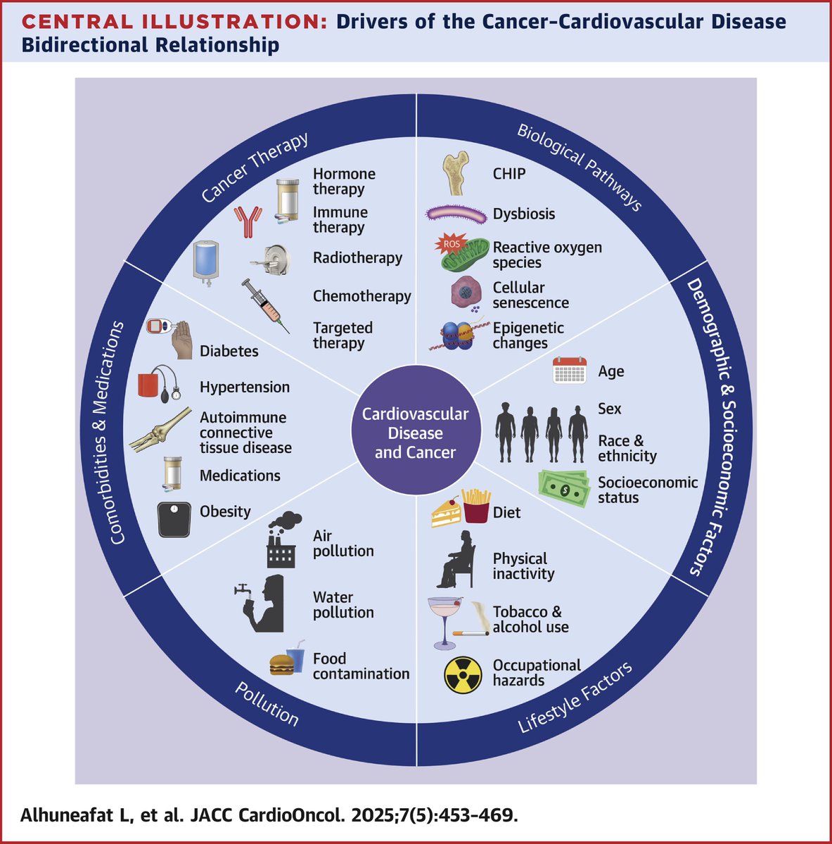 JACCJournals's tweet image. Cancer & #CVD are linked! 🤝 Shared risks (aging, inflammation, lifestyle) & biological pathways connect these two CoD. This review calls for new research & targeted strategies to improve outcomes🔬 jacc.org/doi/10.1016/j.…
#JACCCardioOnc #CardioOnc #CancerResearch @LAlhuneafat