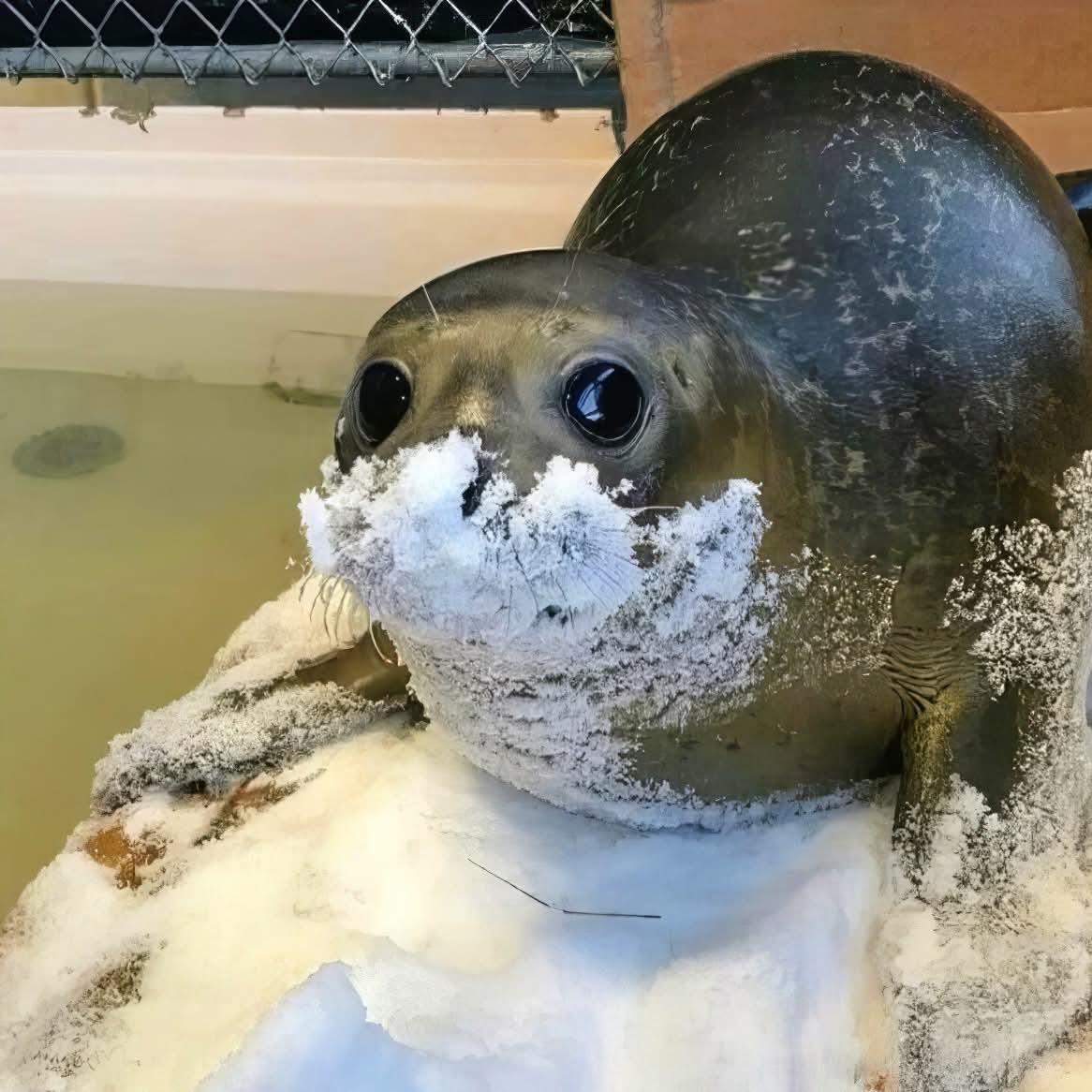 dirtbag_dustin's tweet photo. I imagine this is how badger really makes his videos https://t.co/2h2gatgslV
