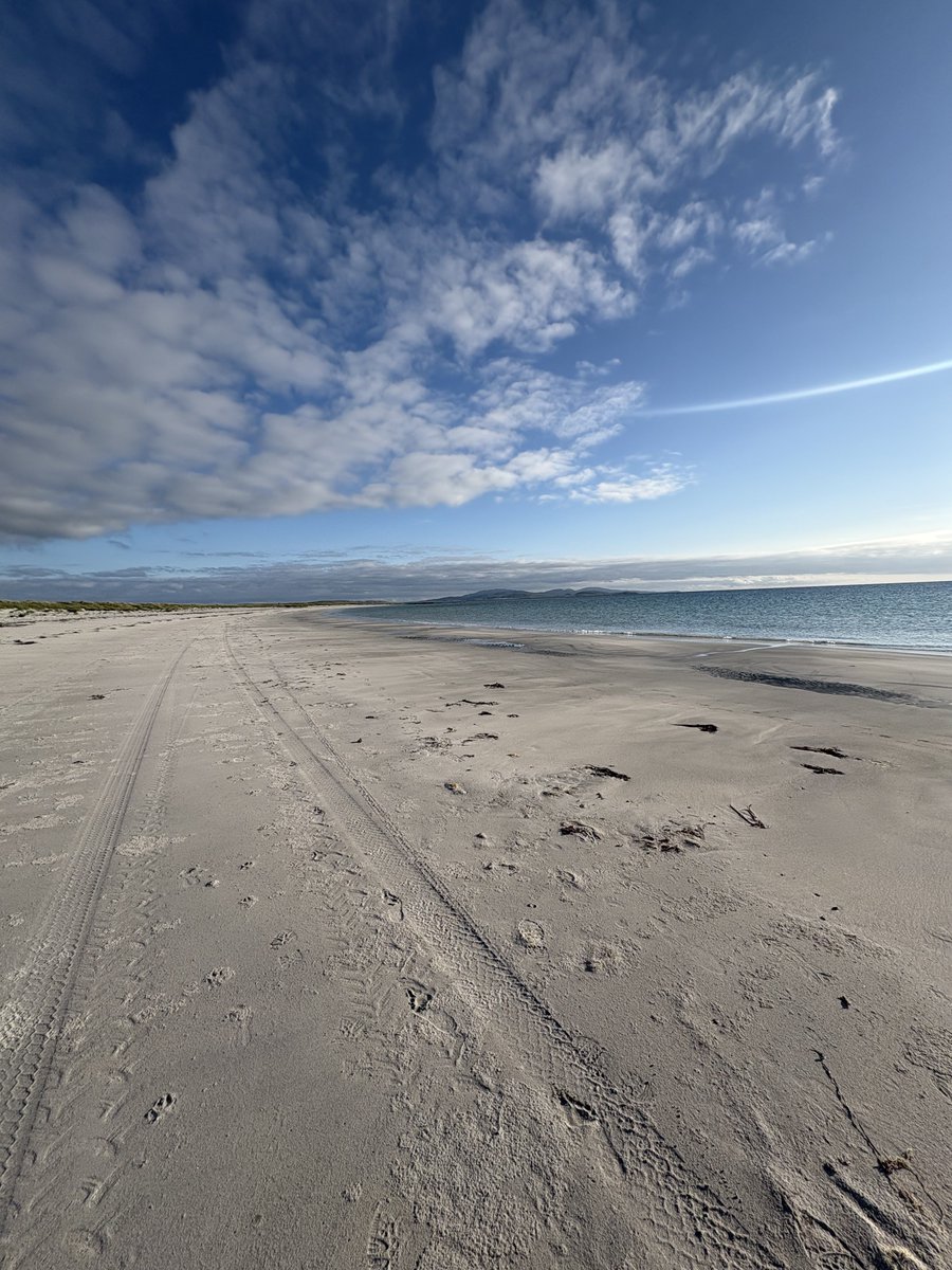 BILLY & KENNA, GOLF 🏴󠁧󠁢󠁳󠁣󠁴󠁿🏌️🏌️‍♀️ tweet media