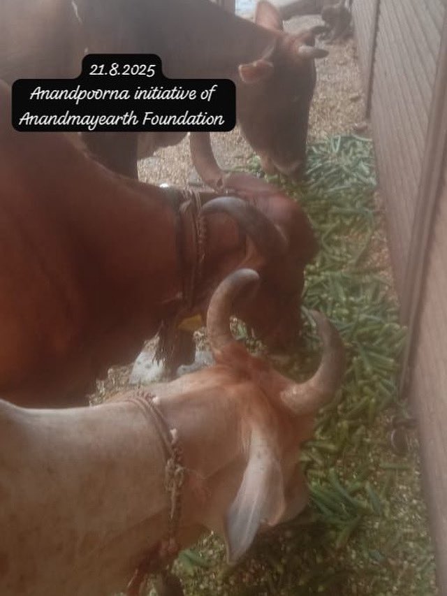 AnandmayEarth's tweet photo. रीति-रिवाज, मान-सम्मान, लोक-लाज, मर्यादा, संस्कार आदि के भी बहुत मायने होते हैं । सनातन हिंदू धर्म बहु विवाह व अविवाहित संबंधों को अधर्म मानता है । भारत विश्व गुरु तभी बनेगा जब चरित्र का हनन न होगा । “प्राण जाये पर वचन न जायी” यह हमारी परंपरा है । #anandmayearthfoundation https://t.co/UgOQ8EgZwK