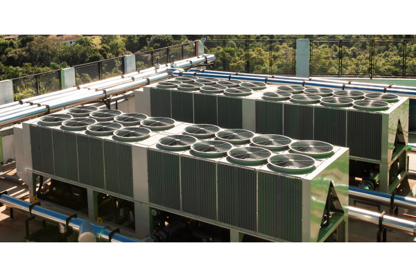 Nova Técnica Editorial tweet media