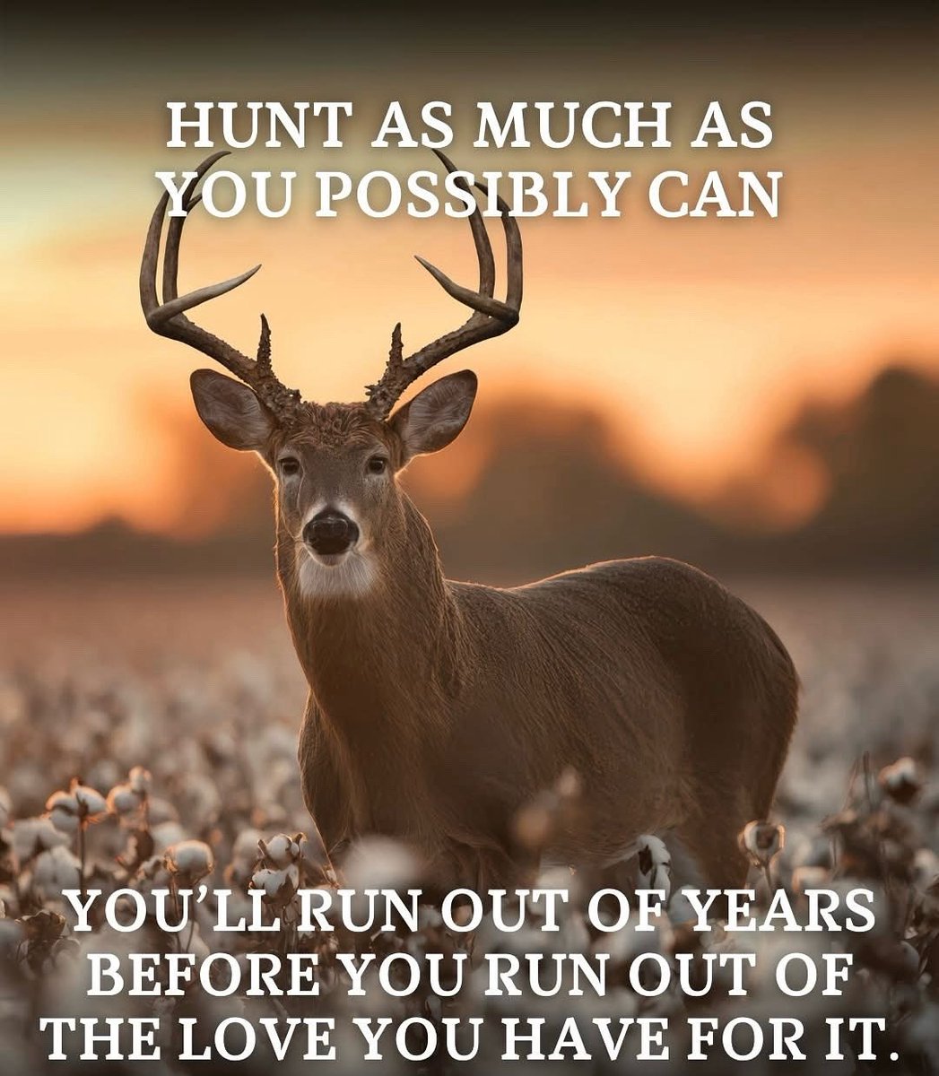 Outdoor Obsession tweet media