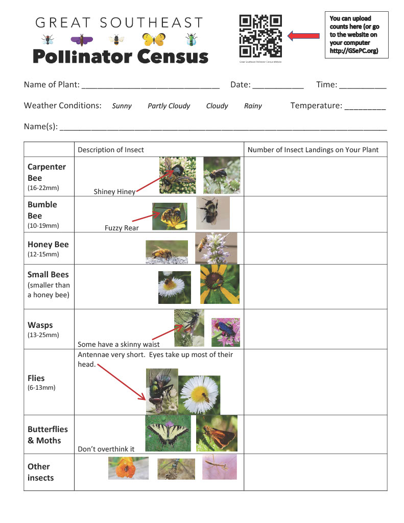 Who’s ready for the Great Southeast Pollinator Census? 🖐️🐝 We’ve got your counting sheet right here for you. 

Happening from Aug. 22–24, the community science project invites people to count pollinators in their yards and neighborhoods. Join the count:  ncst.at/SfPv50WJMWM