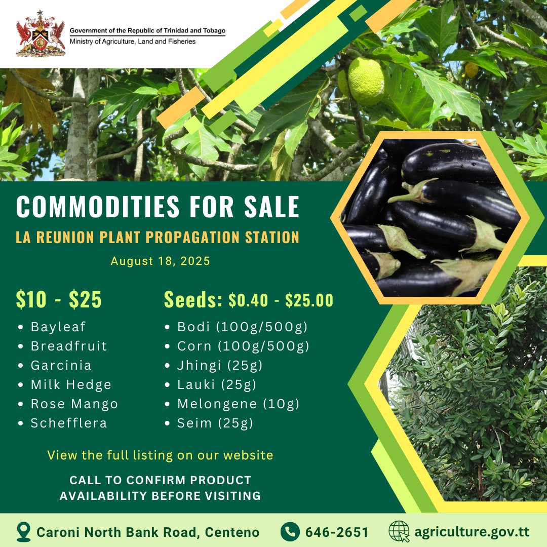 maftt_'s tweet image. ASD Commodities For Sale – August 18, 2025

Calling all farmers and home gardeners! Check out the latest range of agricultural commodities available from the Agricultural Services Division: agriculture.gov.tt/divisions-unit…

Let’s grow together!

#MALF #ASD #AgriculturalServicesDivision
