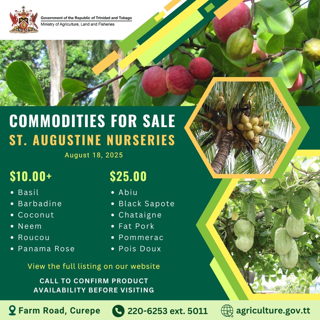 maftt_'s tweet image. ASD Commodities For Sale – August 18, 2025

Calling all farmers and home gardeners! Check out the latest range of agricultural commodities available from the Agricultural Services Division: agriculture.gov.tt/divisions-unit…

Let’s grow together!

#MALF #ASD #AgriculturalServicesDivision