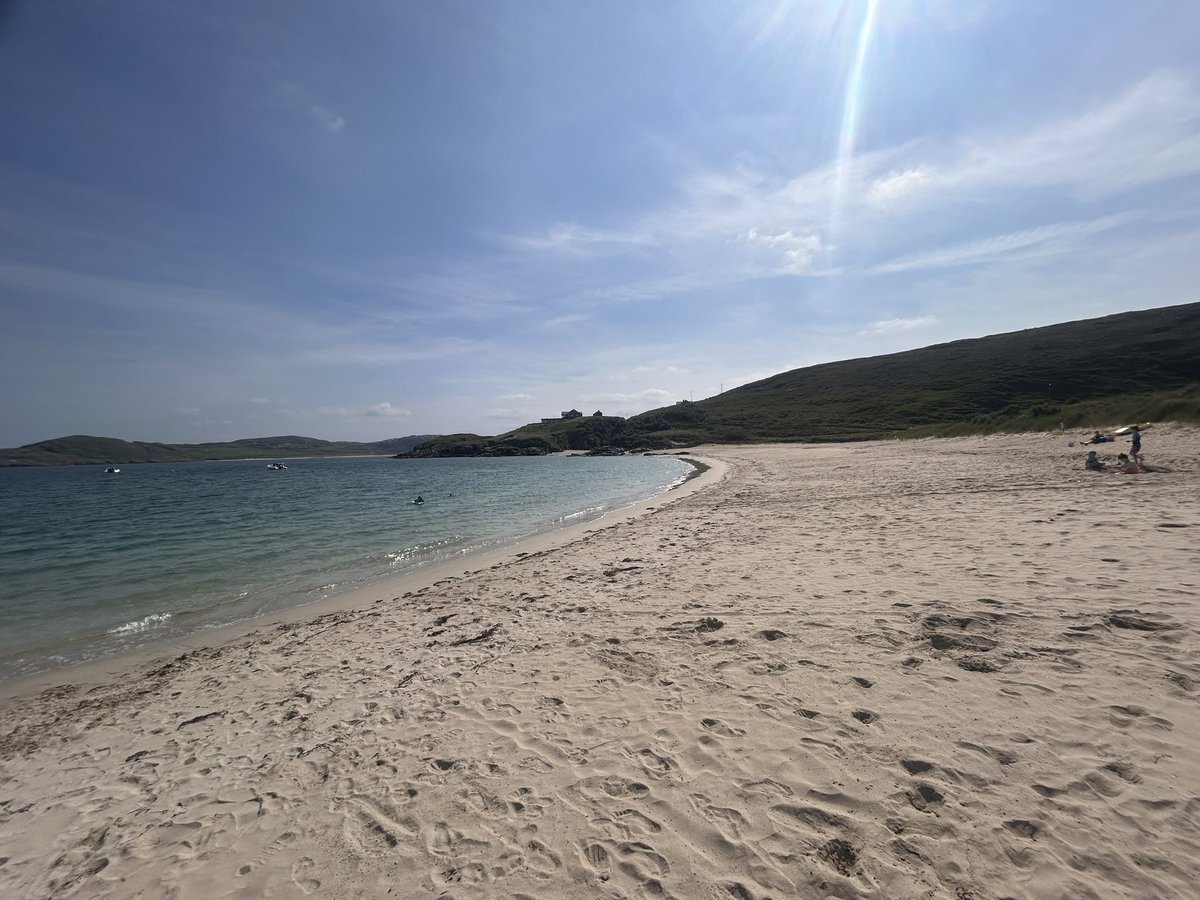 Rónán McHugh tweet media