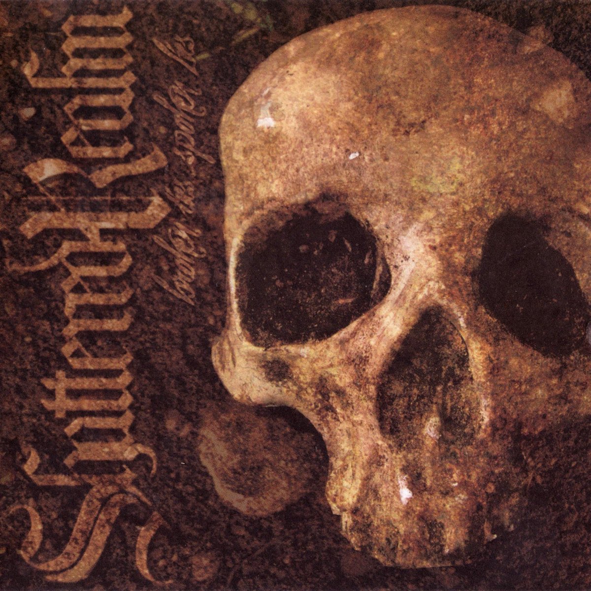 Idc how many times it's said or how many I times I see them live... this is a 10/10 record