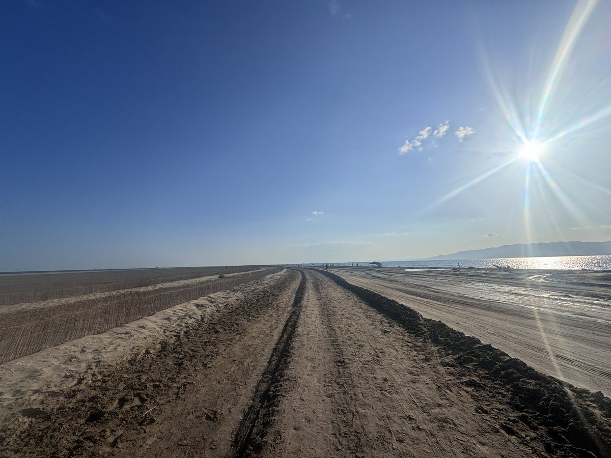A bajar la comida paseuko y Flamingo beach