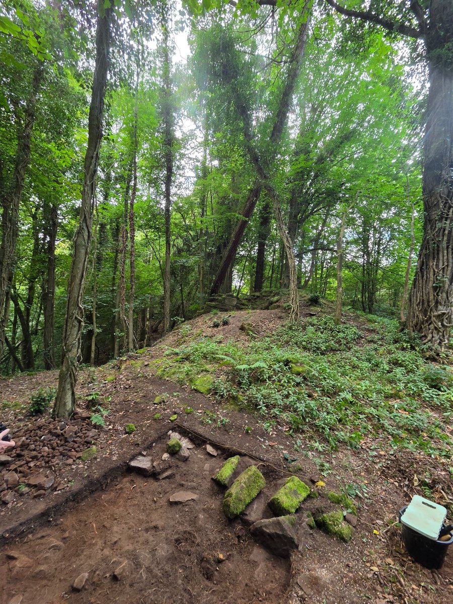 CluthaArchaeo's tweet photo. Clutha Volunteers out on day two at Meikle Burn LNR at site of Eddlewood Castle.  Trying to establish the size and function of the site. Thanks to our Countryside Ranger assistance in keeping the site clear of fallen trees. @ArchScot @SouthLanCouncil @HistEnvScot @socantscot https://t.co/EfnvCFsvUD