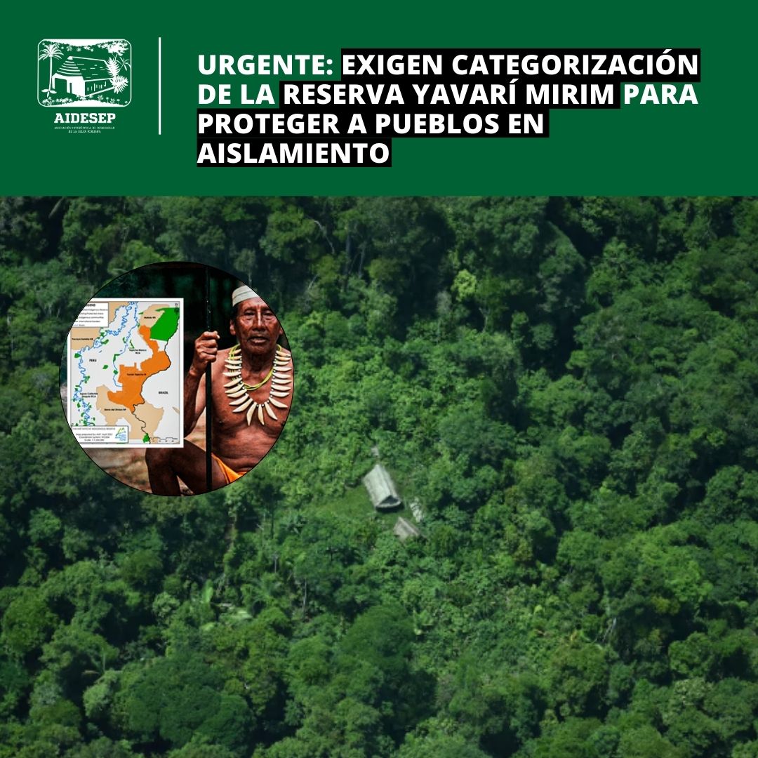 #DefensadelosPIACI | El 4/09 será clave para aprobar la categorización de la Reserva Indígena Yavarí Mirim @OrpioA alerta que la demora estatal expone a los PIACI a concesiones ilegales, deforestación y contacto forzado. 🌿✊
📌 Lee más 👉 n9.cl/4z1ex