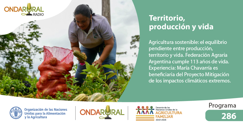 🎧¡Al aire el programa #286!

#Agriculturasostenible: el equilibrio pendiente entre producción, territorio y vida🧑‍🌾🌾👩‍🌾.

#APRENDAMOS: María Chavarría🇸🇻, #mujeragricultora, beneficiaria del Proyecto Mitigación de los impactos climáticos extremos.

📻➡️ ondarural.org/node/3823