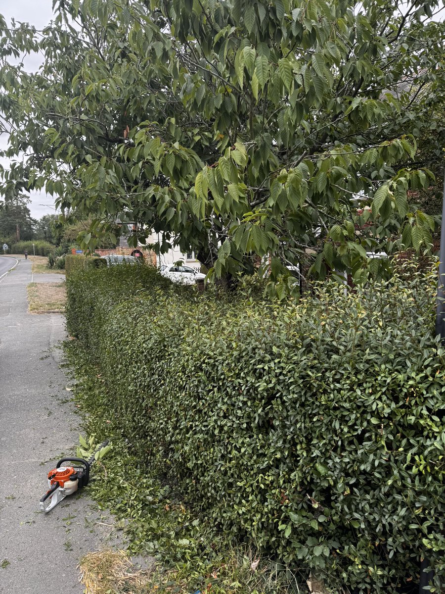 DH_Maintenance's tweet photo. Despite #grass #struggling another #busy #day- #tidying #weeding done & some #fence #repairs - before a little tidy on this #privet #hedge 👍 first time doing it but back nice & tidy again - have a good evening everyone ❤️ https://t.co/obIwfKcpWP