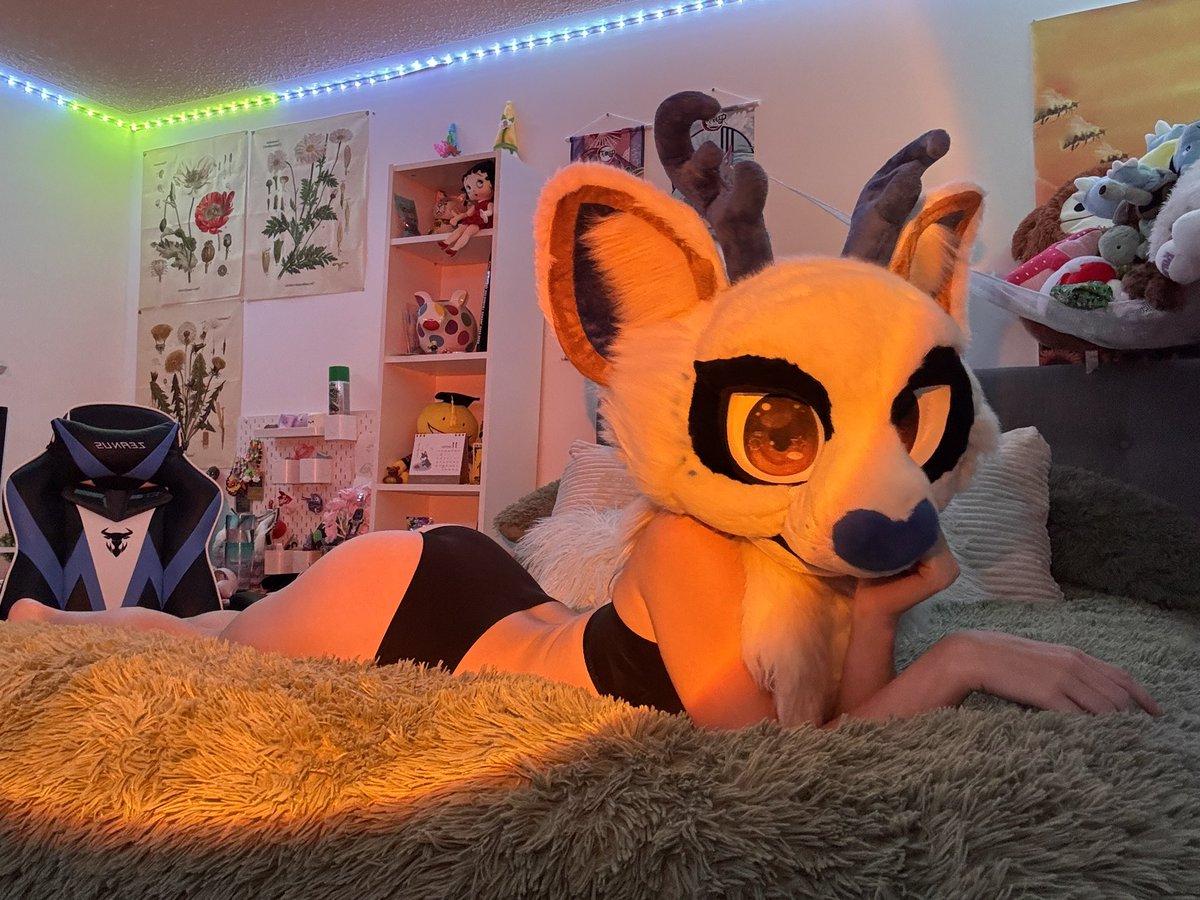 heard you like furry girls?