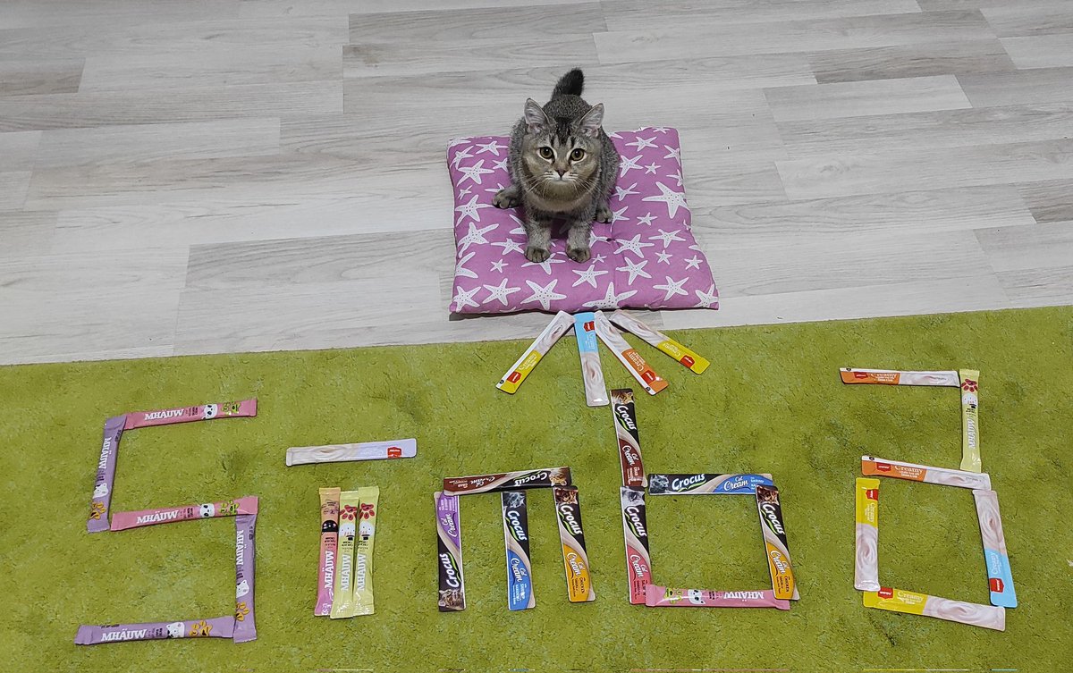 Benim hayad stamdatlarımı takmin edemessin esik piç