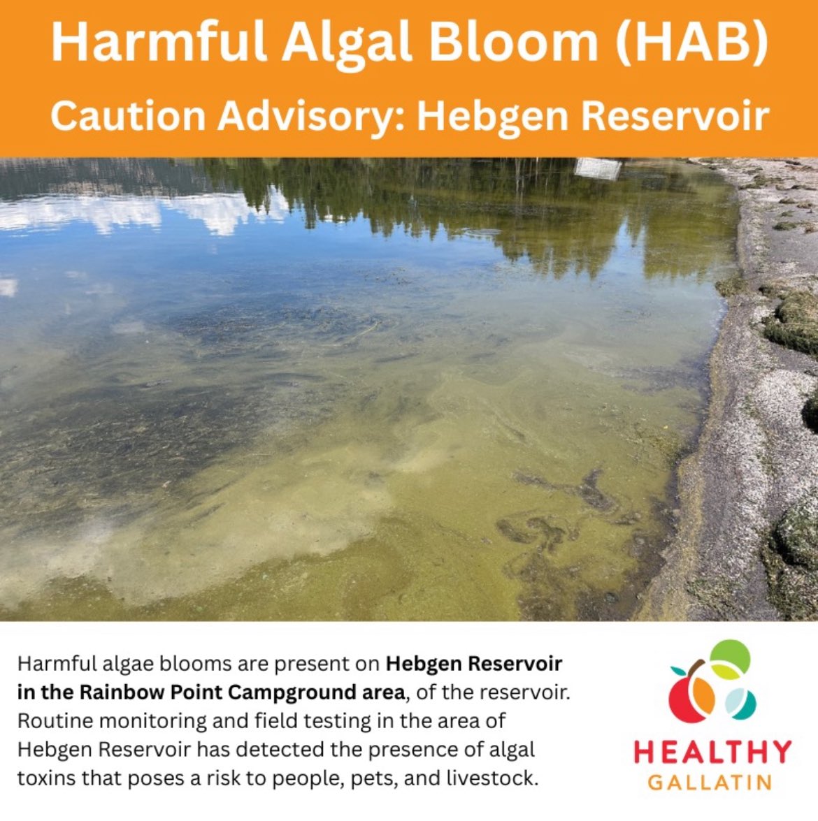 Gallatin City-County Health Department tweet media