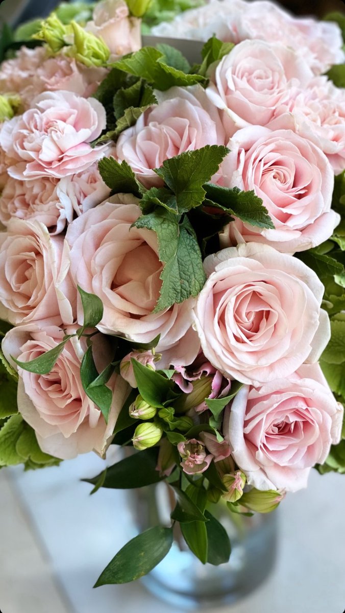 Heureux Anniversaire Debbie 🎂🎁
<a href="/Jeandeborah511/">Déborah Jean [ Debbie La Rose]</a> 🌹
💙