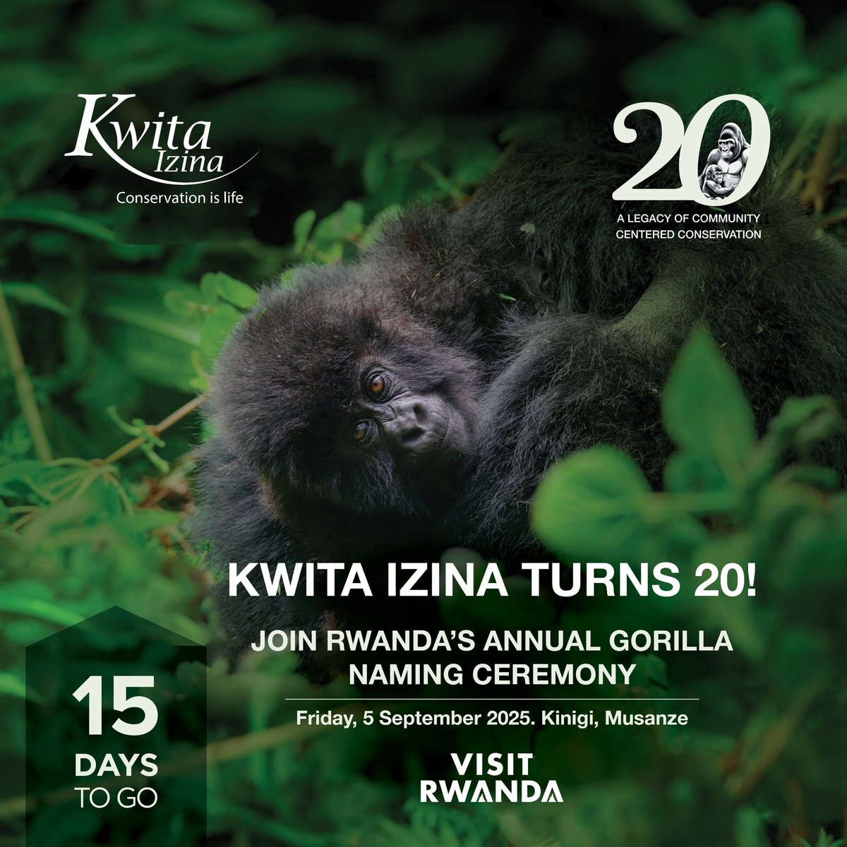 15 DAYS TO GO
The countdown is on as we edge closer to the 20th edition of Kwita Izina, set to take place on September 5, 2025, at the foothills of Volcanoes National Park in Kinigi. Join us as we celebrate conservation achievements, engage with communities, and inspire global