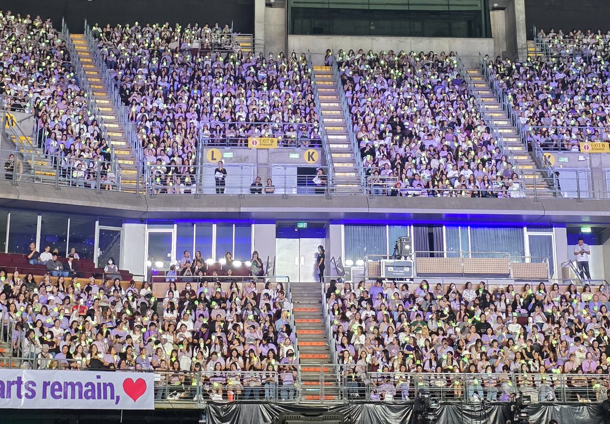 wonder land tweet media