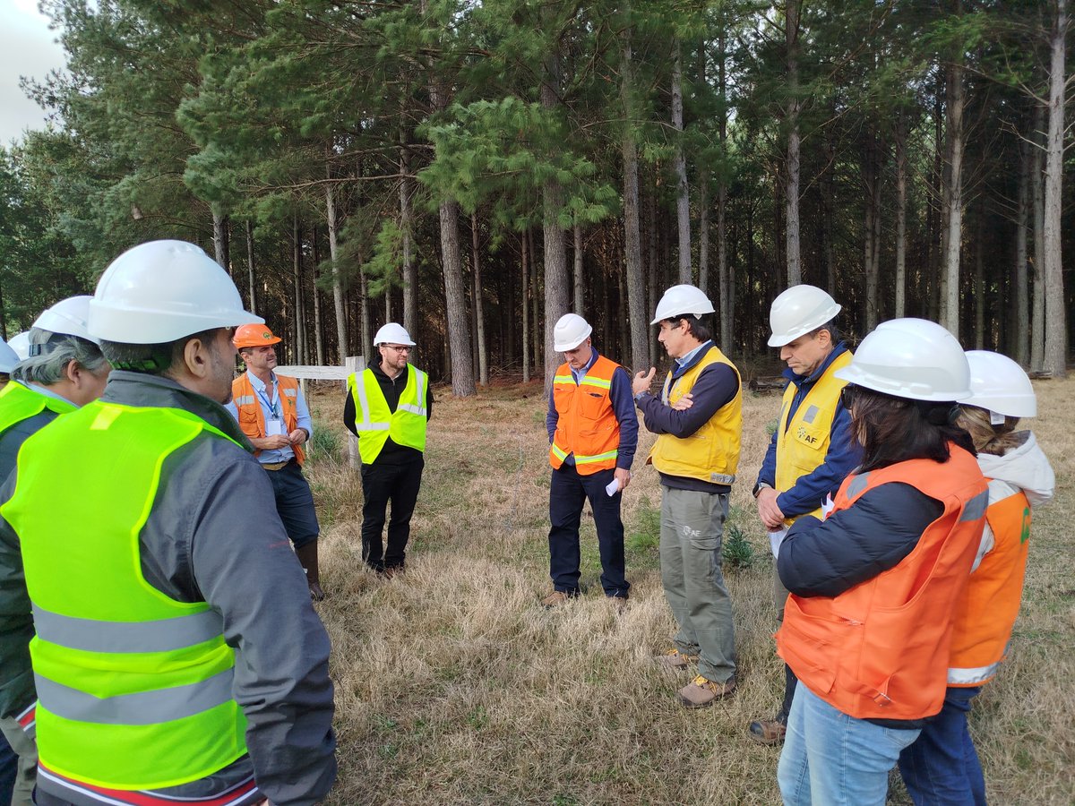 spforestales's tweet image. Agradecemos a @UPMUruguay , #LUMIN, AF y Völfer  por recibirnos en esta gira sectorial.

Acompañamos en esta recorrida a los senadores: @sergiobotana, @cdcamy,  Javier Gandolfo, @camboue, @tatisabini, @Anibal_Pereyra_  y por el @MGAPUruguay a Gastón Martínez y Leonardo Boragno.