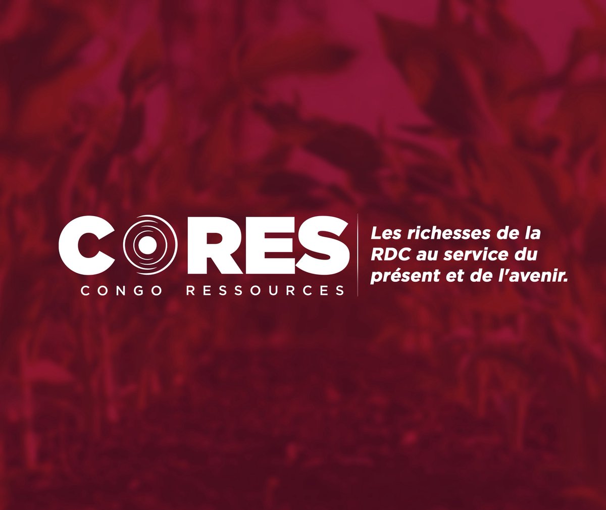 #CORES, instrument stratégique de valorisation des Ressources Naturelles de la #RDC, agit à travers 5 secteurs clés : Agriculture, Mines, Environnement, Énergies et Infrastructures connexes (dont le Numérique) pour promouvoir un développement inclusif, durable et souverain. #KME