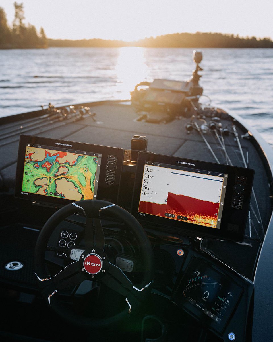 HumminbirdFish tweet media