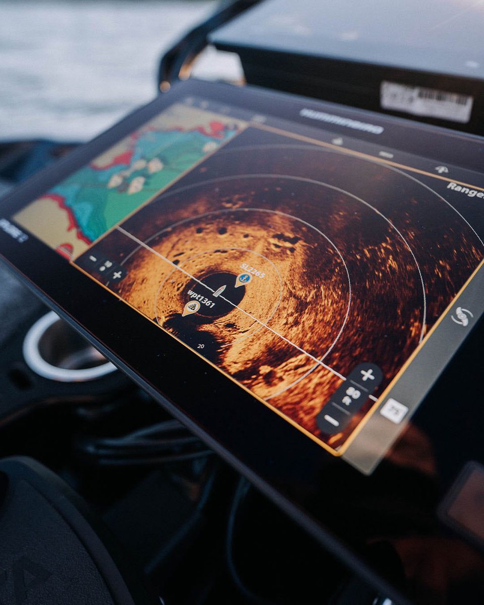 HumminbirdFish tweet media