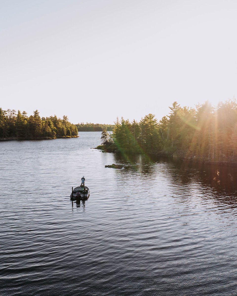 HumminbirdFish tweet media