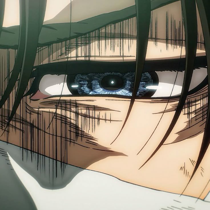 Levi Ackerman ( late reply ) tweet media