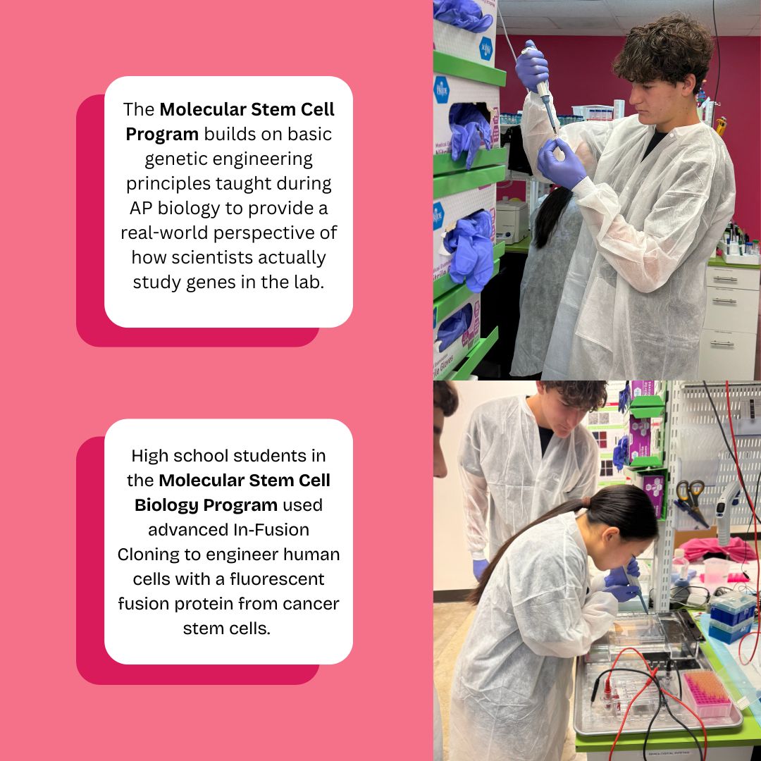LABiotechCenter's tweet photo. Week 6 ✅
High school students at LA Biotech Center engineered human cells using In-Fusion Cloning + PCR—and made them glow! 🧬🔬
They're becoming real researchers!
https://t.co/5Oxn43HMjo
#STEM #Biotech #GeneticEngineering #FutureScientists #SummerSchool #StemCells #Biology https://t.co/f3gaHDaCIZ