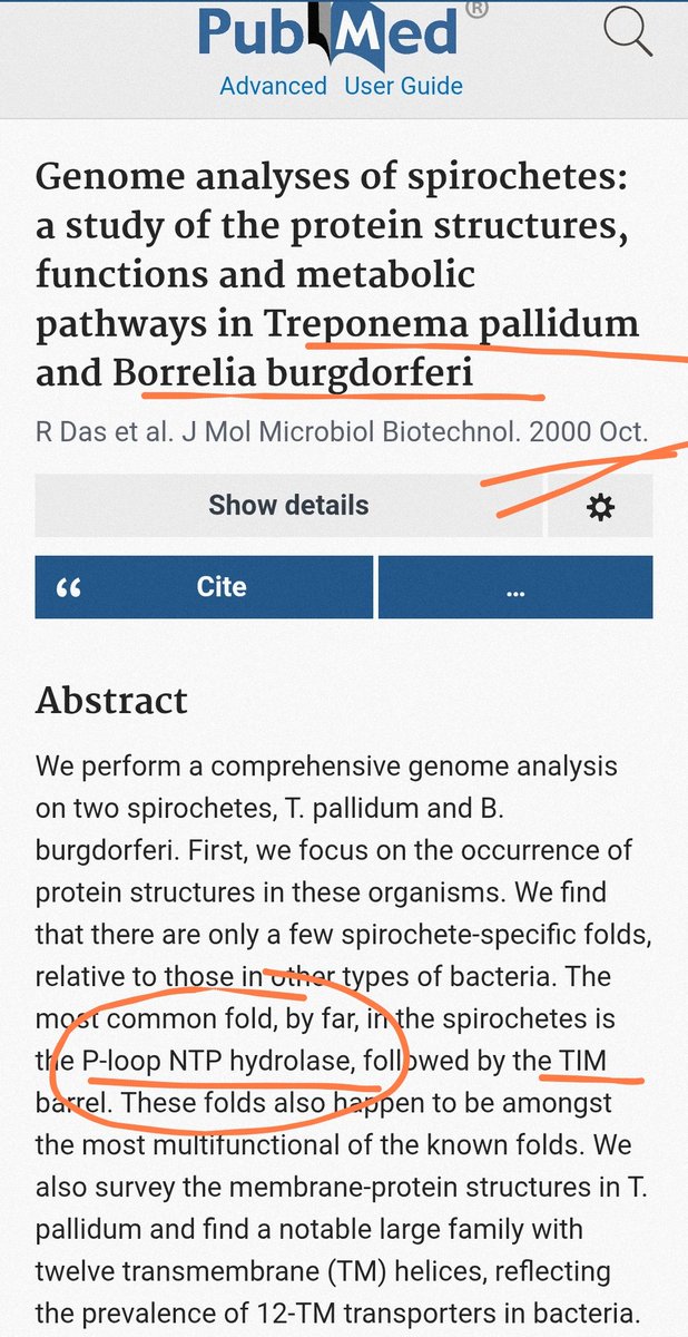observadora007's tweet image. ⚠️El pliegue más común, con diferencia, en las espiroquetas es la HIDROLASA de 💫💖🔥➰#BucleP 🟰 #PLoop de NTP, seguida del barril TIM.
pubmed.ncbi.nlm.nih.gov/11075910/