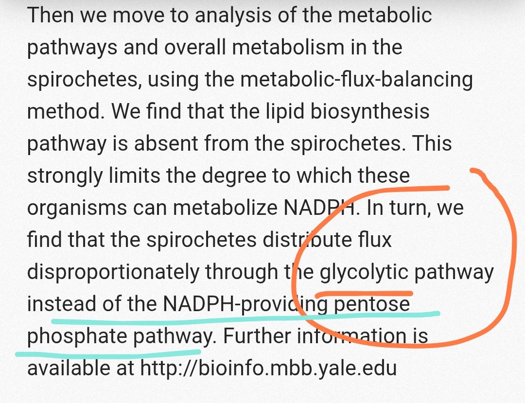 observadora007's tweet image. ⚠️El pliegue más común, con diferencia, en las espiroquetas es la HIDROLASA de 💫💖🔥➰#BucleP 🟰 #PLoop de NTP, seguida del barril TIM.
pubmed.ncbi.nlm.nih.gov/11075910/