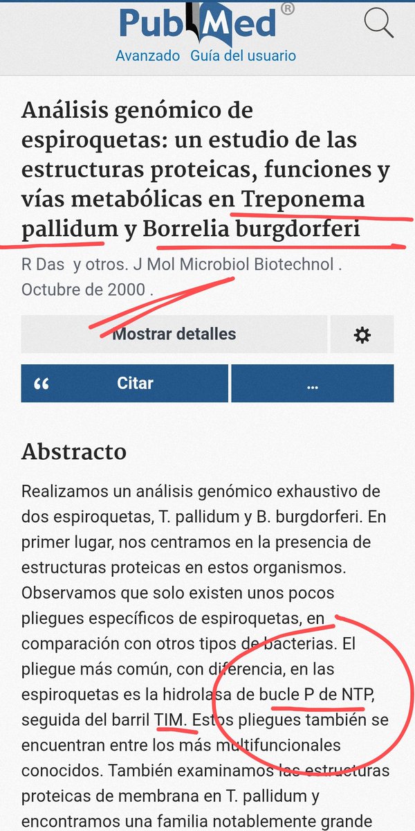 observadora007's tweet image. ⚠️El pliegue más común, con diferencia, en las espiroquetas es la HIDROLASA de 💫💖🔥➰#BucleP 🟰 #PLoop de NTP, seguida del barril TIM.
pubmed.ncbi.nlm.nih.gov/11075910/