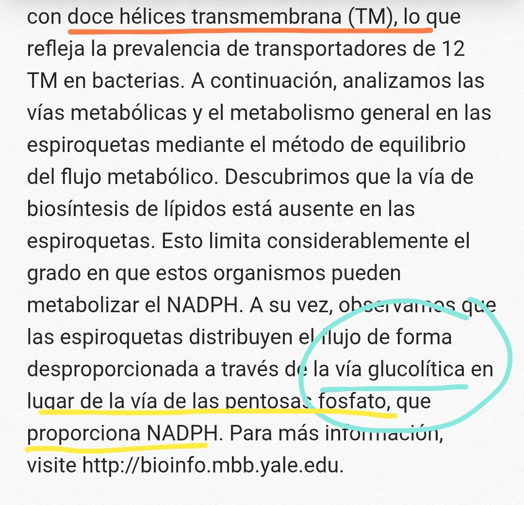 observadora007's tweet image. ⚠️El pliegue más común, con diferencia, en las espiroquetas es la HIDROLASA de 💫💖🔥➰#BucleP 🟰 #PLoop de NTP, seguida del barril TIM.
pubmed.ncbi.nlm.nih.gov/11075910/