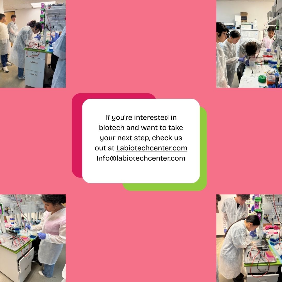 LABiotechCenter's tweet photo. Week 6 ✅
High school students at LA Biotech Center engineered human cells using In-Fusion Cloning + PCR—and made them glow! 🧬🔬
They're becoming real researchers!
https://t.co/5Oxn43HMjo
#STEM #Biotech #GeneticEngineering #FutureScientists #SummerSchool #StemCells #Biology https://t.co/f3gaHDaCIZ