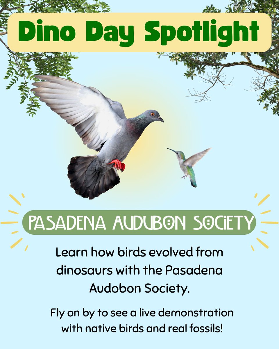 GilbMuseum's tweet photo. Swipe to the last slide to see a full itinerary of the long-awaited day!

Check out some of our standout Dino Day activities and demonstrations! We look forward to seeing you at the Gilb Museum of Arcadia Heritage this Saturday between 1:30 and 3:30 PM. https://t.co/C18ba1ovE7