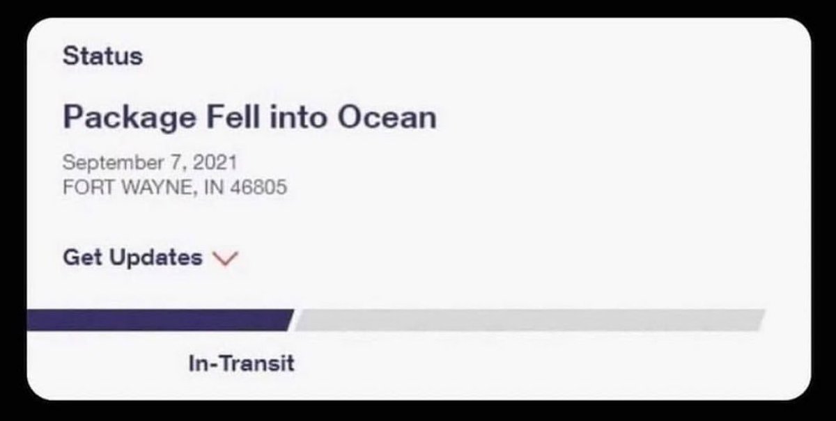 addie wagenknecht tweet media