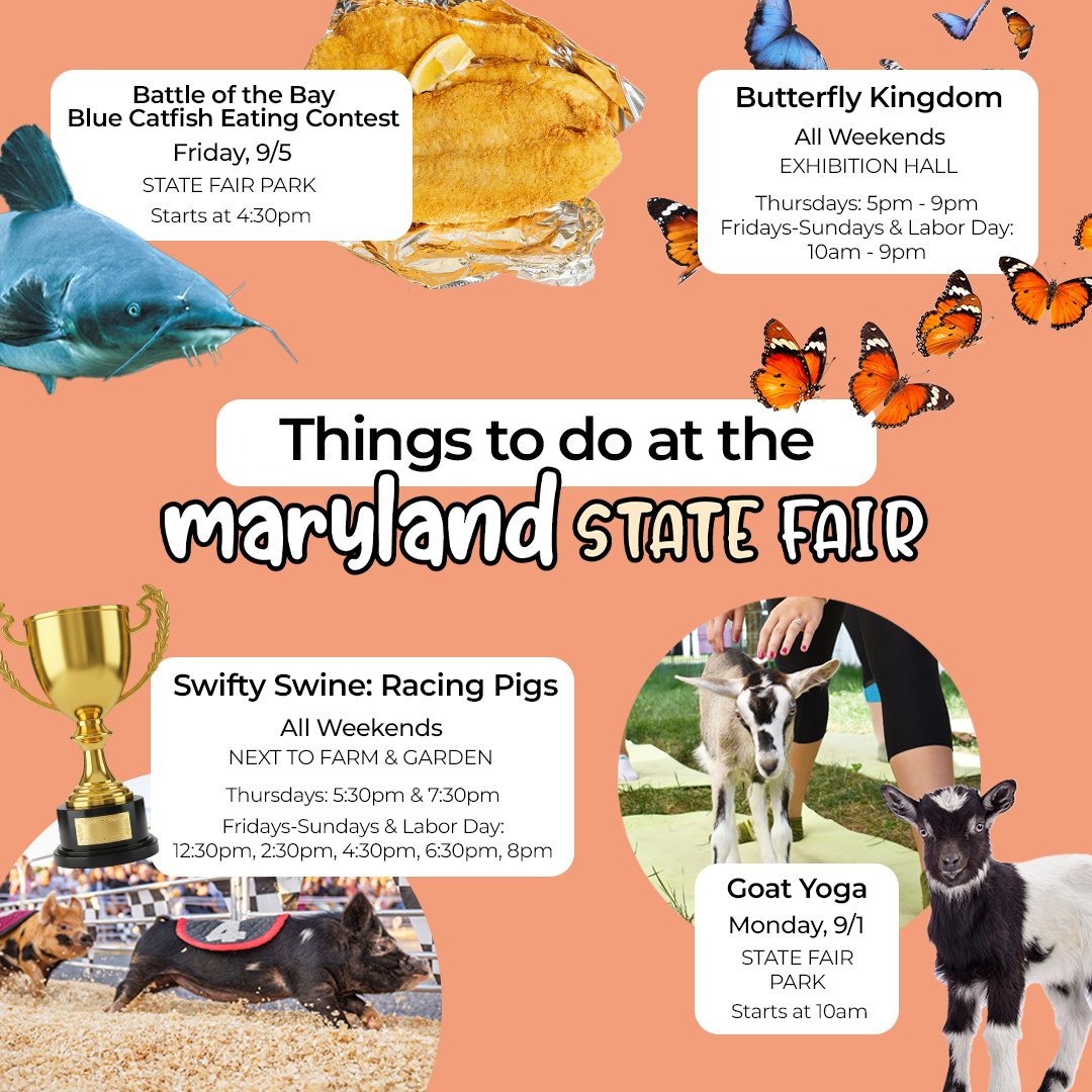 MDStateFair's tweet photo. ππ§Hereβs how to do the Maryland State Fair right this year! π‘π₯¨π
#MDStateFair #FairFun https://t.co/cpJwsyxOnE