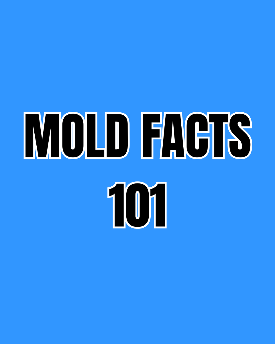 Waymakersohio's tweet photo. Mold starts growing faster than your summer tan fades.

#emergencyrestoration #emergencyfire #emergencywater #moldremediation #homerestoration #ohiorestoration #waymakersrestoration #columbushomerestoration #fire #water #mold #structurecleaning #contentsrestoration #sewagecleanup https://t.co/xEQEZvpW6j