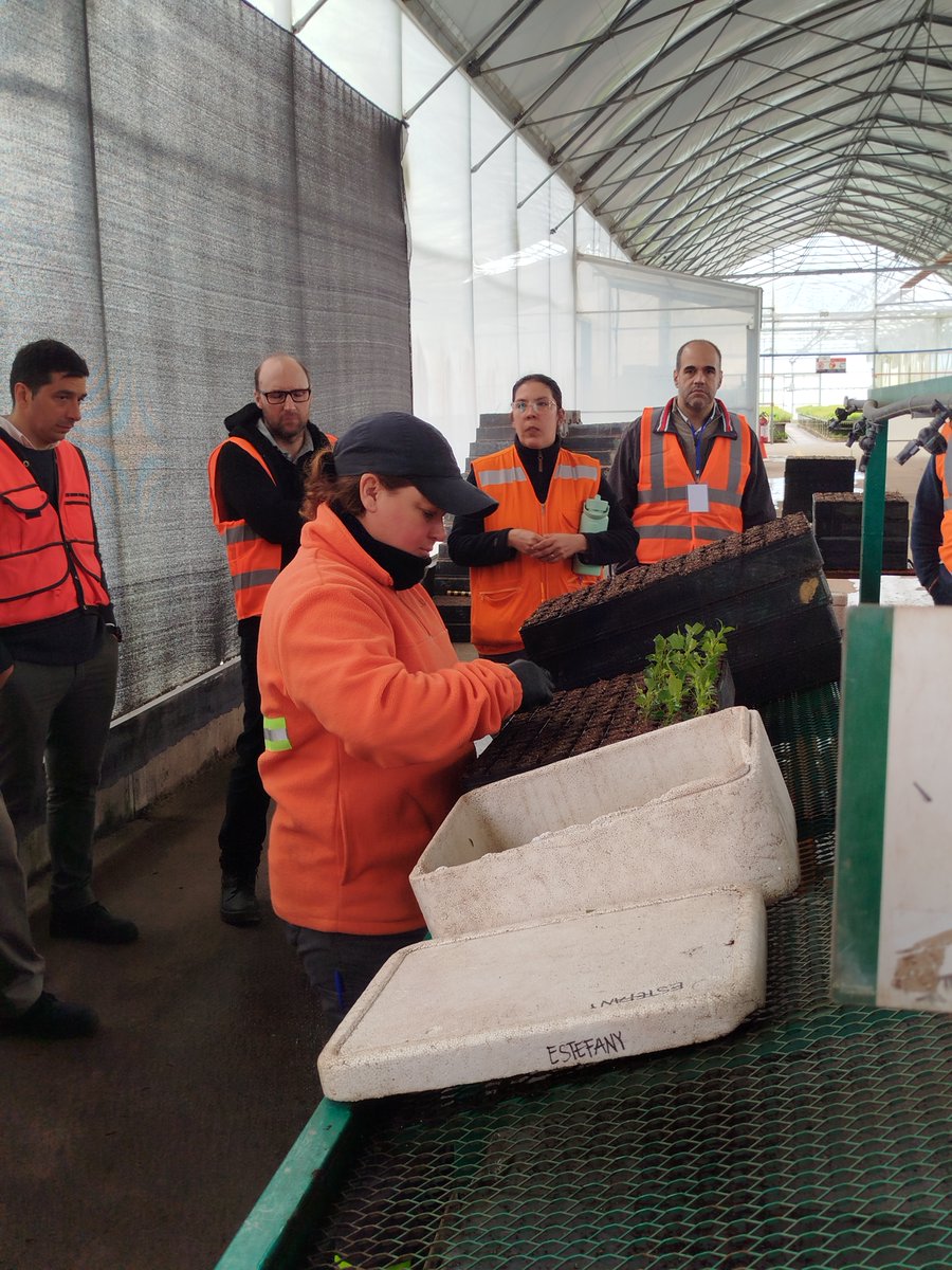 spforestales's tweet image. Agradecemos a @UPMUruguay , #LUMIN, AF y Völfer  por recibirnos en esta gira sectorial.

Acompañamos en esta recorrida a los senadores: @sergiobotana, @cdcamy,  Javier Gandolfo, @camboue, @tatisabini, @Anibal_Pereyra_  y por el @MGAPUruguay a Gastón Martínez y Leonardo Boragno.