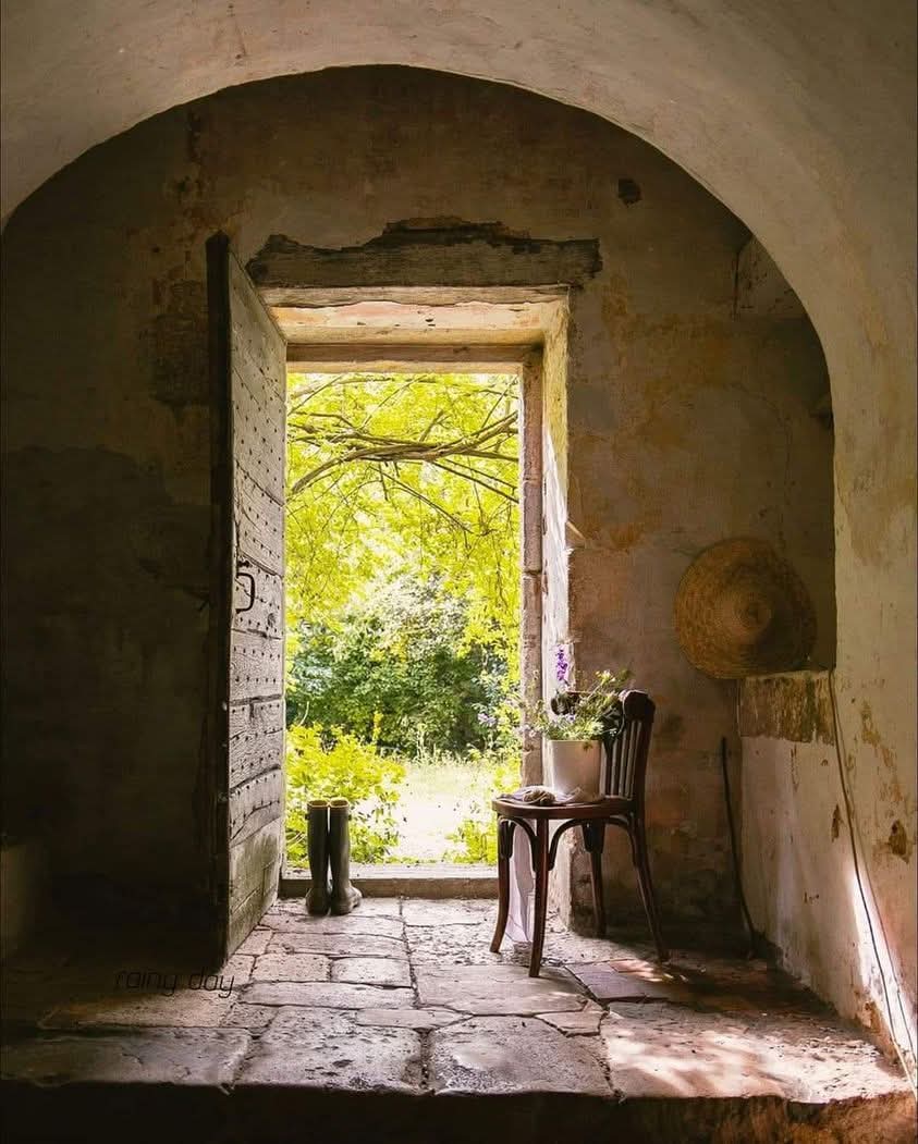 Gato Preto 🐈‍⬛ tweet media