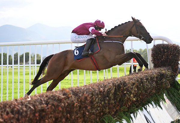 Gordon Elliott tweet media