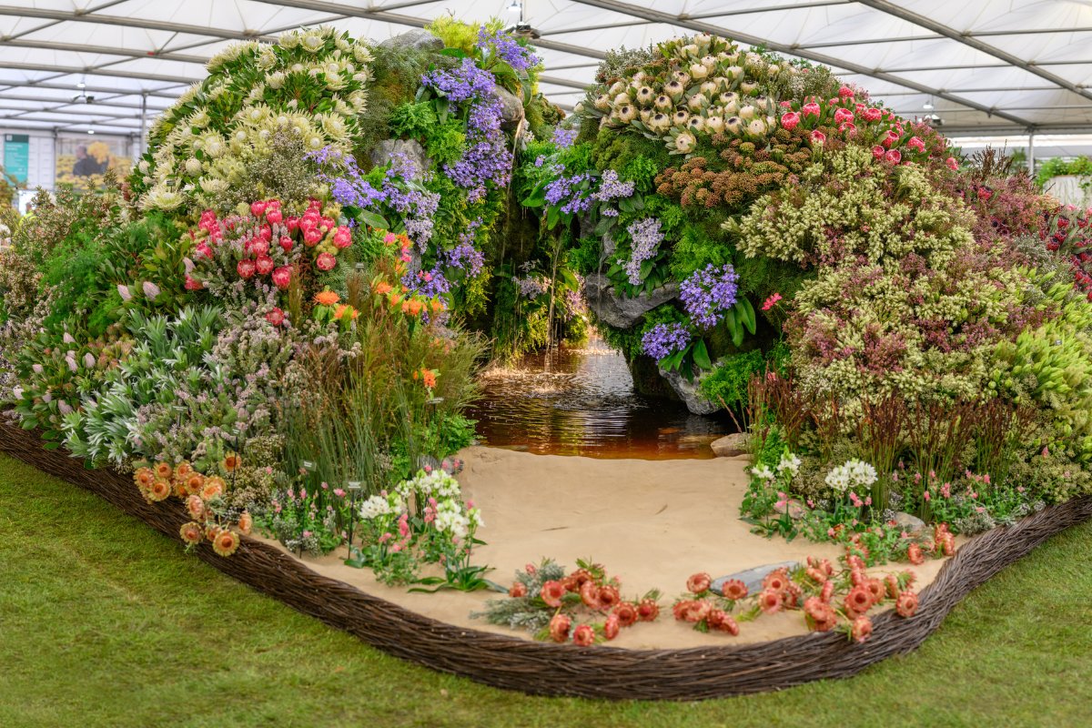 AgriNewsSA's tweet image. This September, the #Overberg shines with two flagship events. #NampoCape  in #Bredasdorp highlights farming innovation, while #ChelseaFlowers in #Stanford showcases conservation.
Together, they celebrate #agriculture and sustainability.
Read: tinyurl.com/5n94wbcp