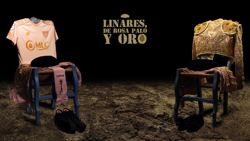 𝐿𝐼𝑁𝐴𝑅𝐸𝑆, 𝐷𝐸 𝑅𝑂𝑆𝐴 𝑃𝐴𝐿𝑂 𝑌 𝑂𝑅𝑂. 

#DeRosaPaloYOro
#EsLoQueEres 💙