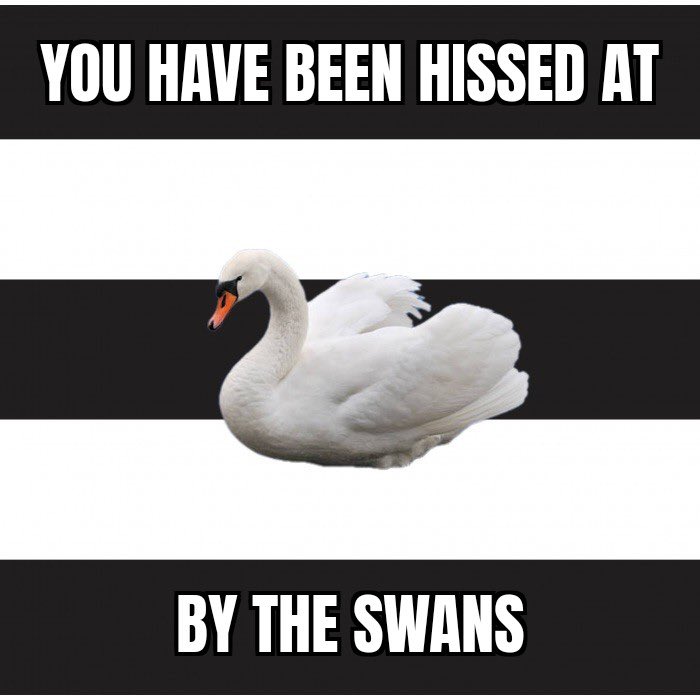 <a href="/oxfjack/">Jack 🜲</a> The shitter they are the better 😂