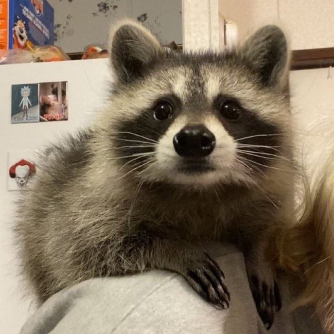 Do you have any games on your phone?